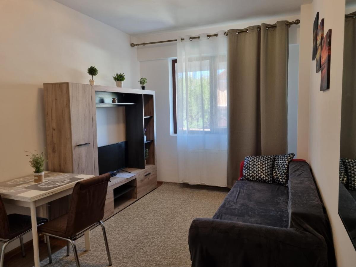 Ultracentral & Cozy, Palas Apt Iasi Exteriör bild